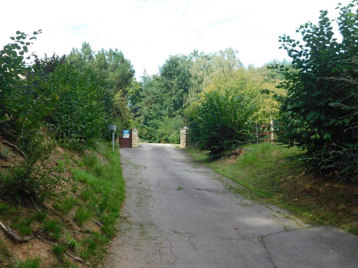 Saulcy-sur-MeurtheL'Amandaure住宿加早餐旅馆 外观 照片